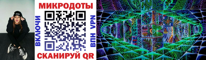Псилоцибиновые грибы Cubensis  блэк спрут зеркало  Макаров 
